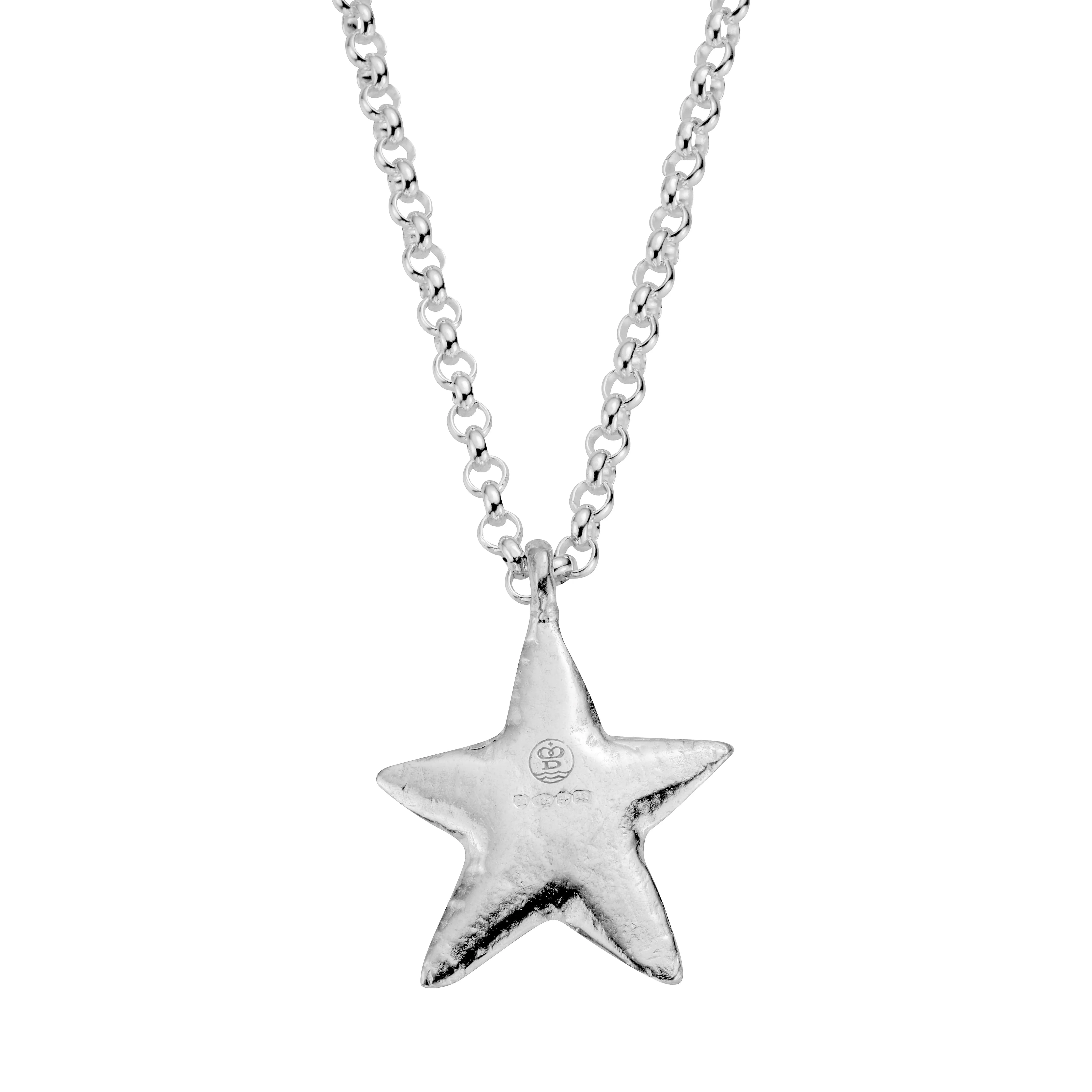Silver Maxi Star Necklace with Paw Print