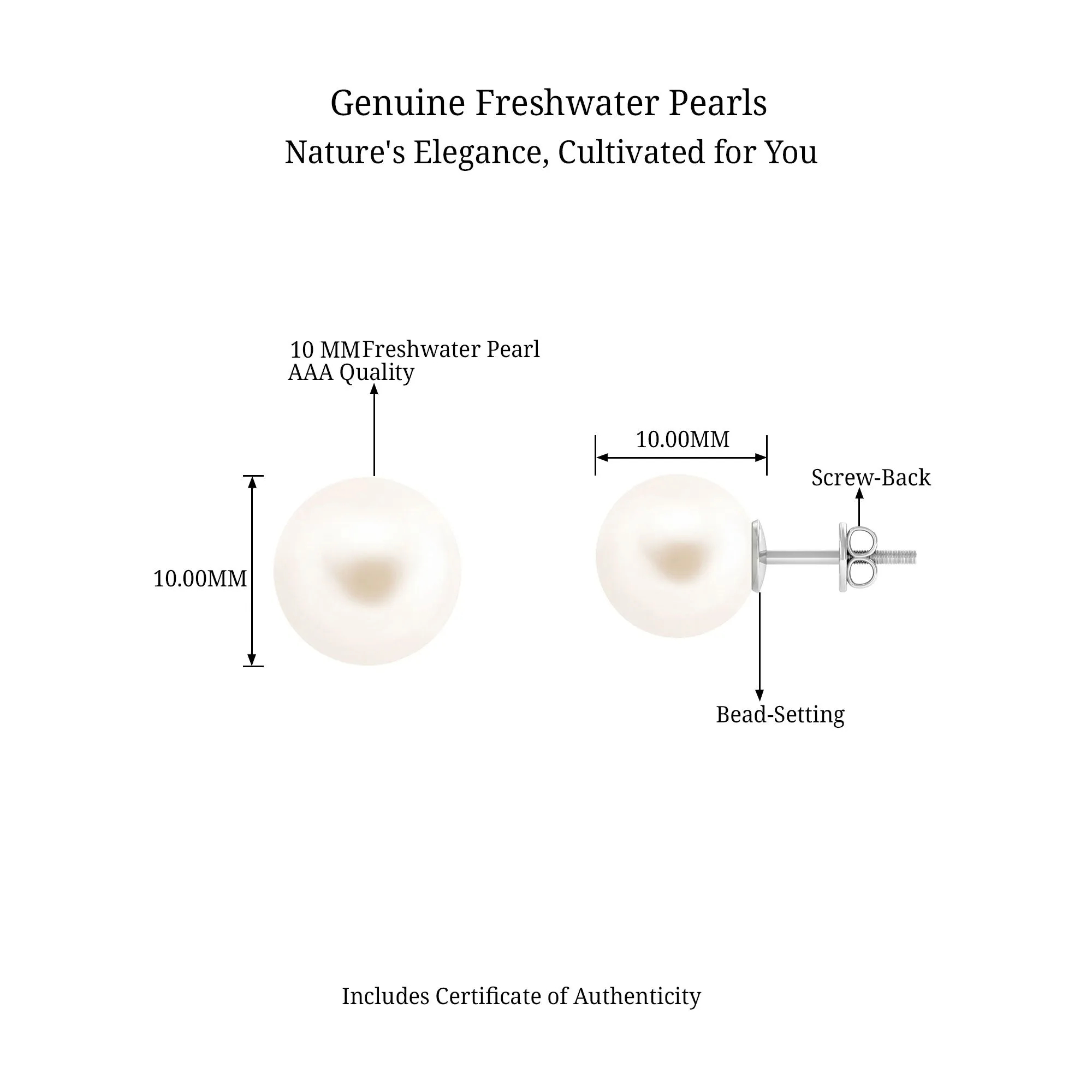 Simple Freshwater Pearl Solitaire Stud Earrings